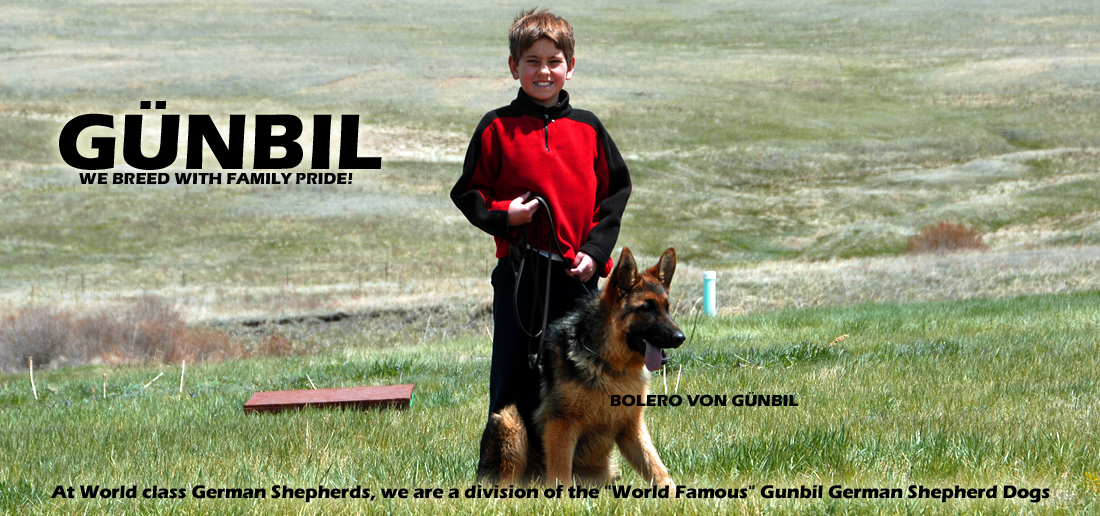 Gunbil German Shepherd Testimonails